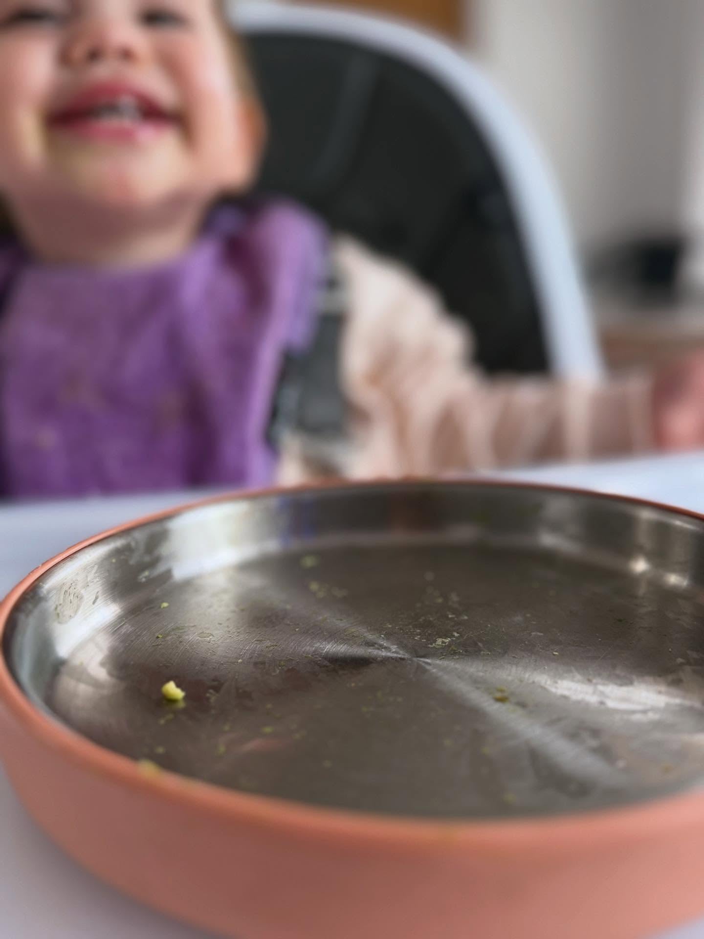 Stainless Steel Feeding Essentials | Meadow Lane