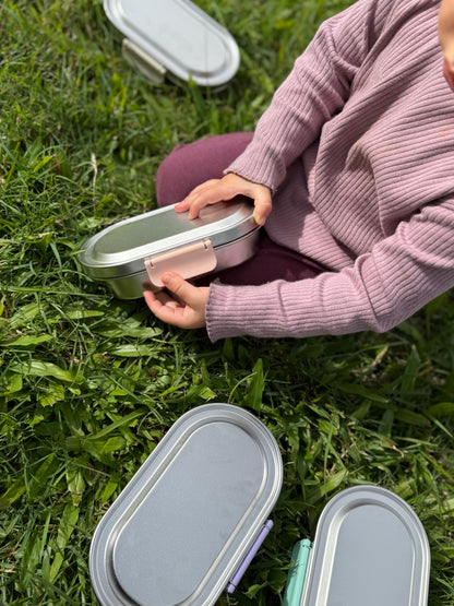 Stainless Steel Snack Box