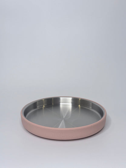 Stainless Steel Suction Plate