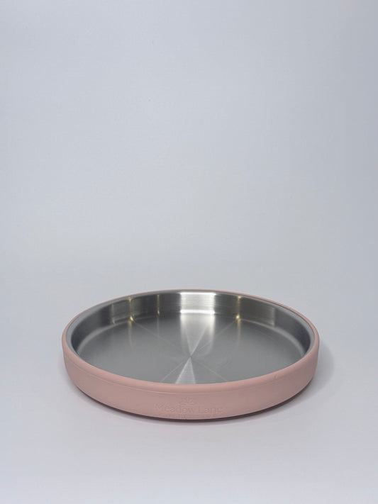 Stainless Steel Suction Plate