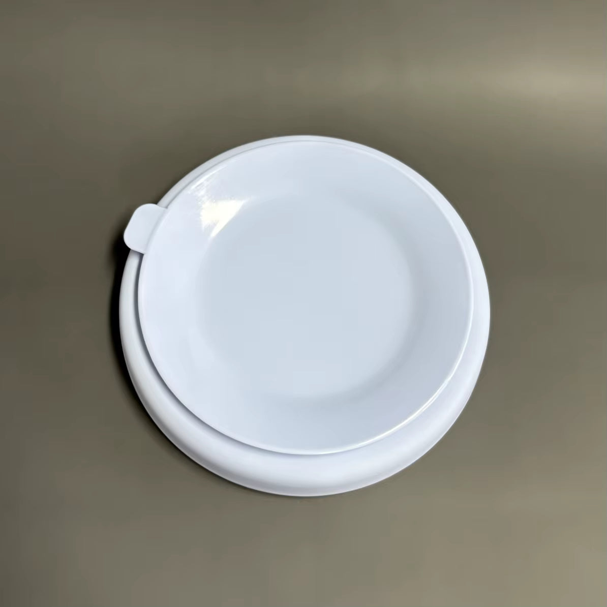dishwasher-safe toddler plate with silicone suction rim